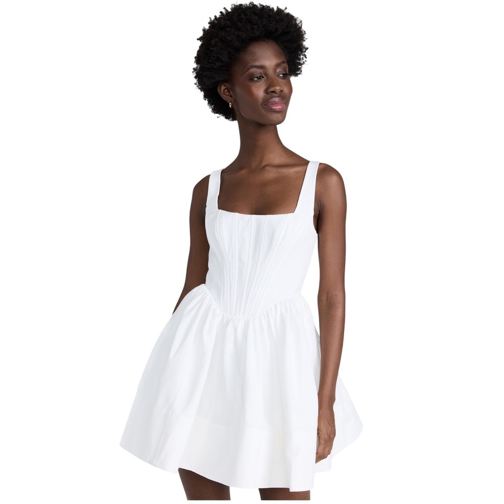 STAUD bridal shower landscape Corset  Fit Flare Mini Dress Size 12